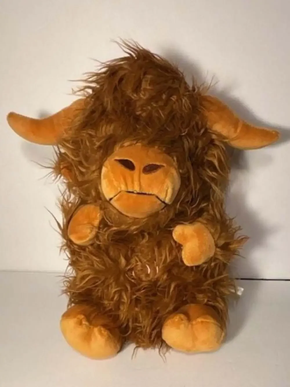 Sunshinehomely highland cow